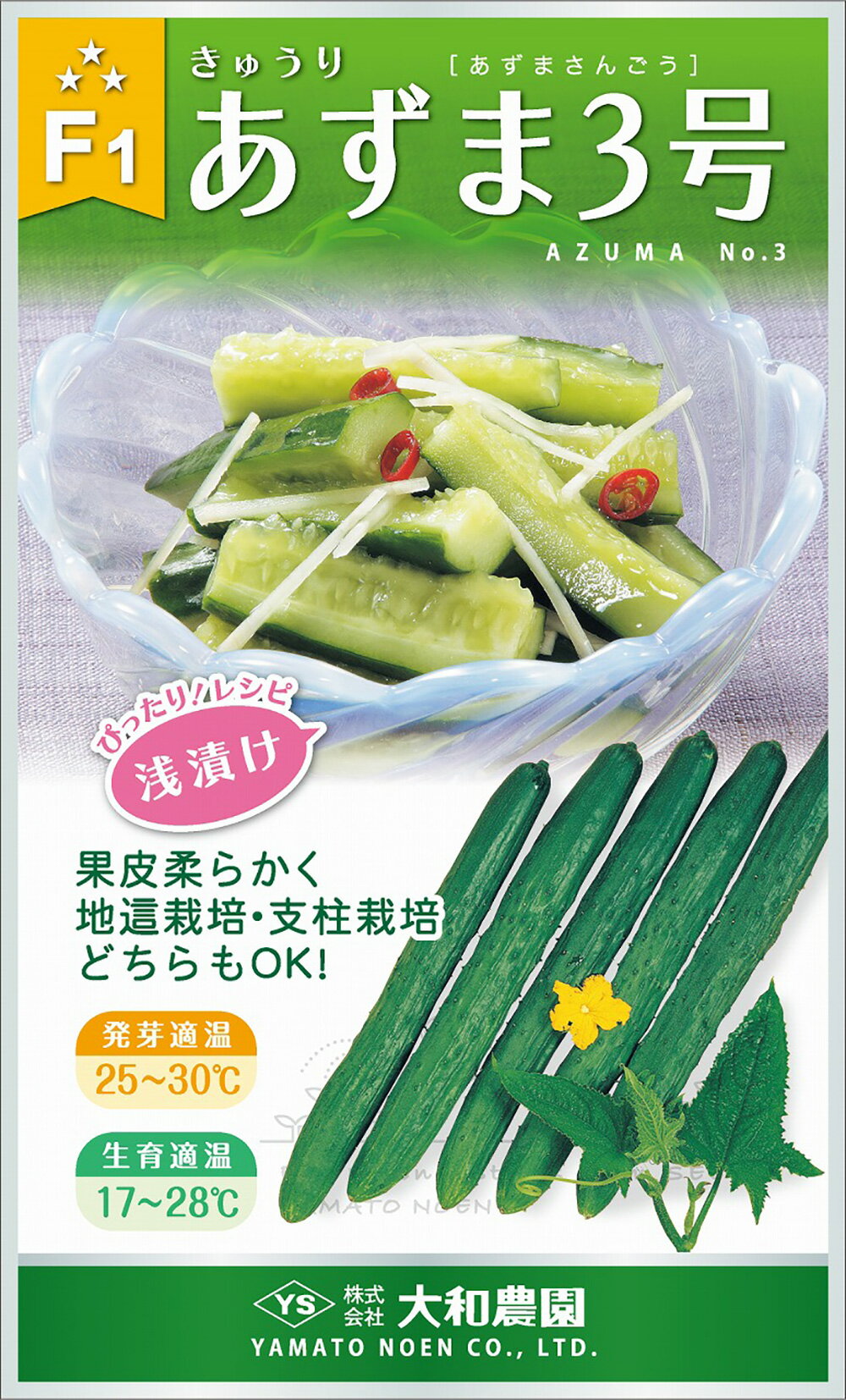 あずま3号 10ml 胡瓜 キュウリ きゅうりあずま3号【通常5倍 5のつく日はポイント10倍】