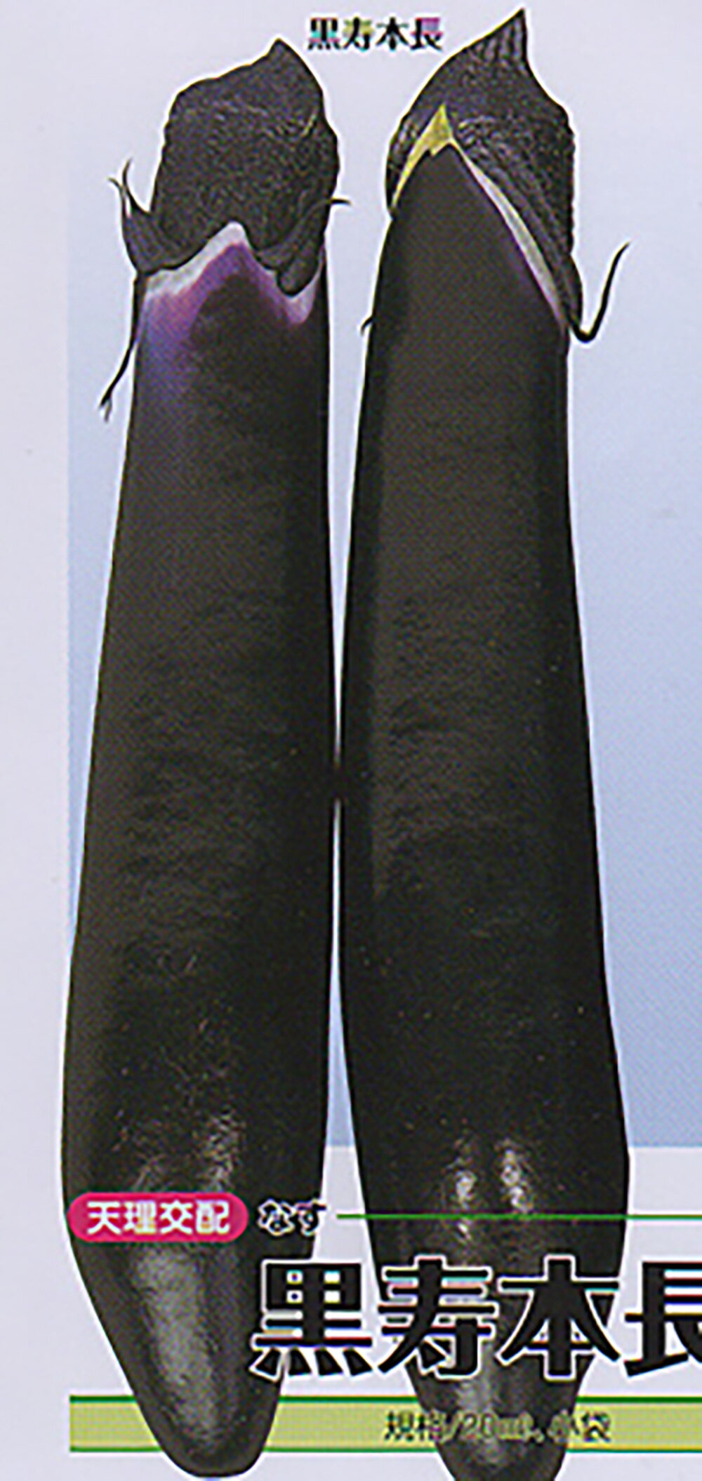 黒寿本長 20ml ナス なす 茄子【大和農園 種 たね タネ】【通常5倍 5のつく日はポイント10倍】