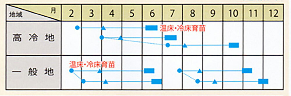 ����å��� 5000γ������ �֥��å��꡼���������� �� ���� ���ۡ͡��̾�5�� 5�ΤĤ����ϥݥ����10�ܡ�