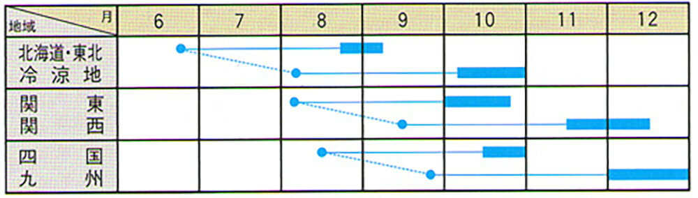 夏伝説 5000粒コート 大根 ダイコン だいこん【大和農園 種 たね タネ】【通常5倍 ...