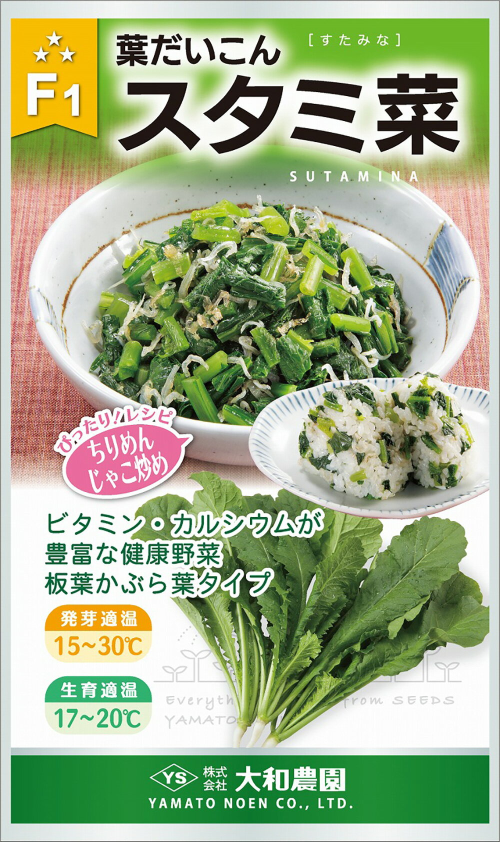 Rakuten - スタミ菜 2dl 大根 ダイコン だいこん【大和農園 種 たね タネ】【通常5倍 5のつく日はポイント10倍】