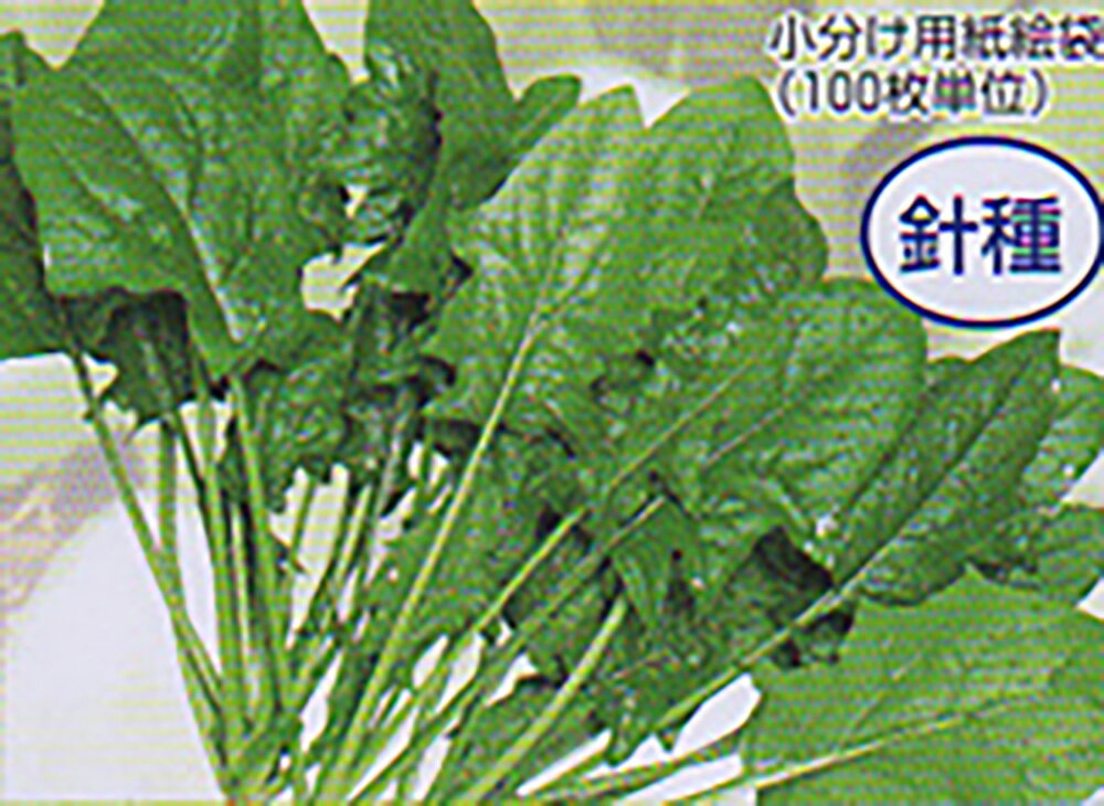 樂天商城 - 夏蒔三十日 2L ほうれん草 法蓮草 ホウレンソウ ほうれんそう【大和農園 種 たね タネ】【通常5倍 5のつく日はポイント10倍】