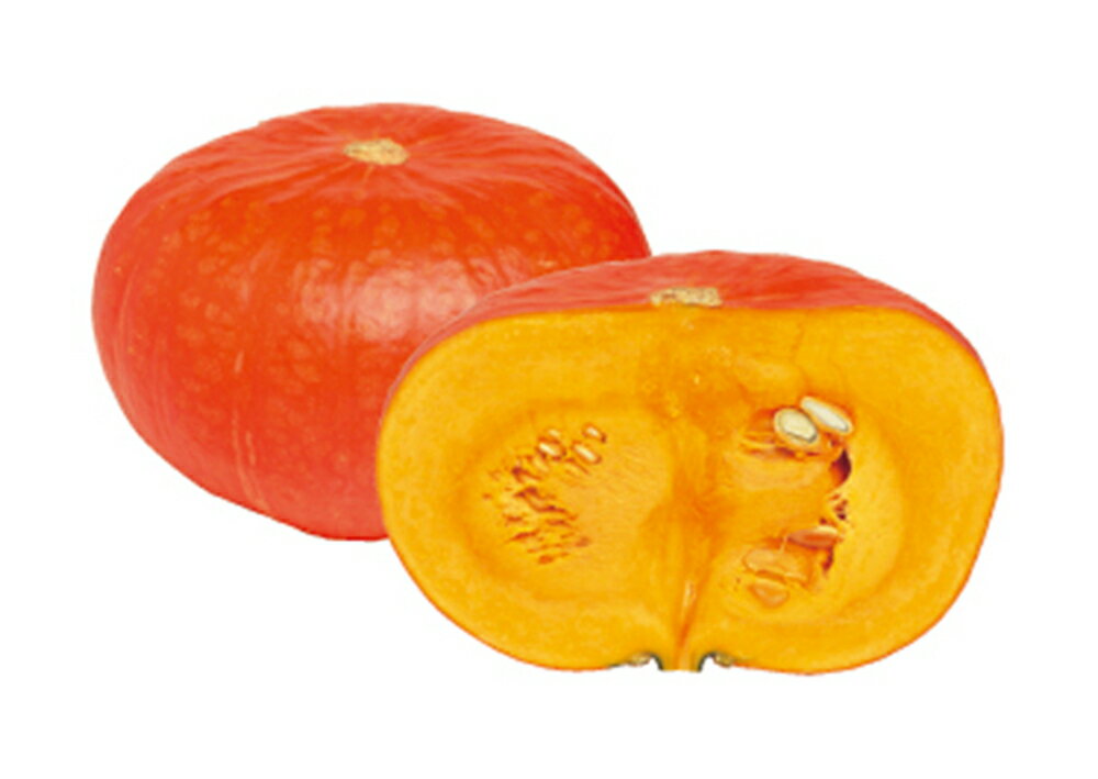 ������(��Τ) �ե���ॳ����100γ � ���ܥ��� ���ܤ��� ������� ��������� �� ���� ���� �ۡ��̾�5�� 5�ΤĤ����ϥݥ����10���оݳ����ʥݥ���...