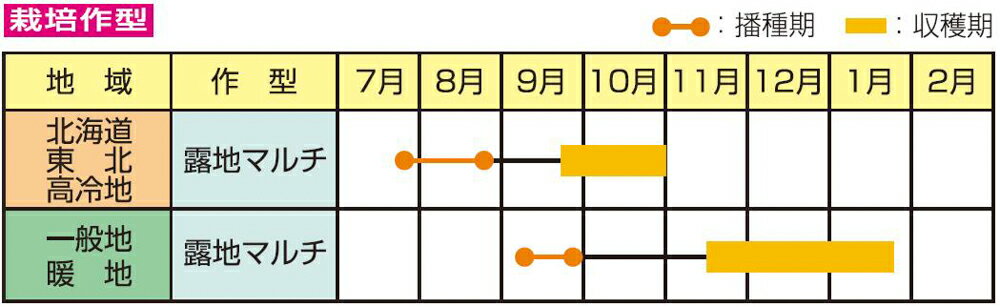 早生涼太 ペレットコート5千粒PC 大根 ダイコン だいこん 雪印種苗 【雪印種苗 種 ...