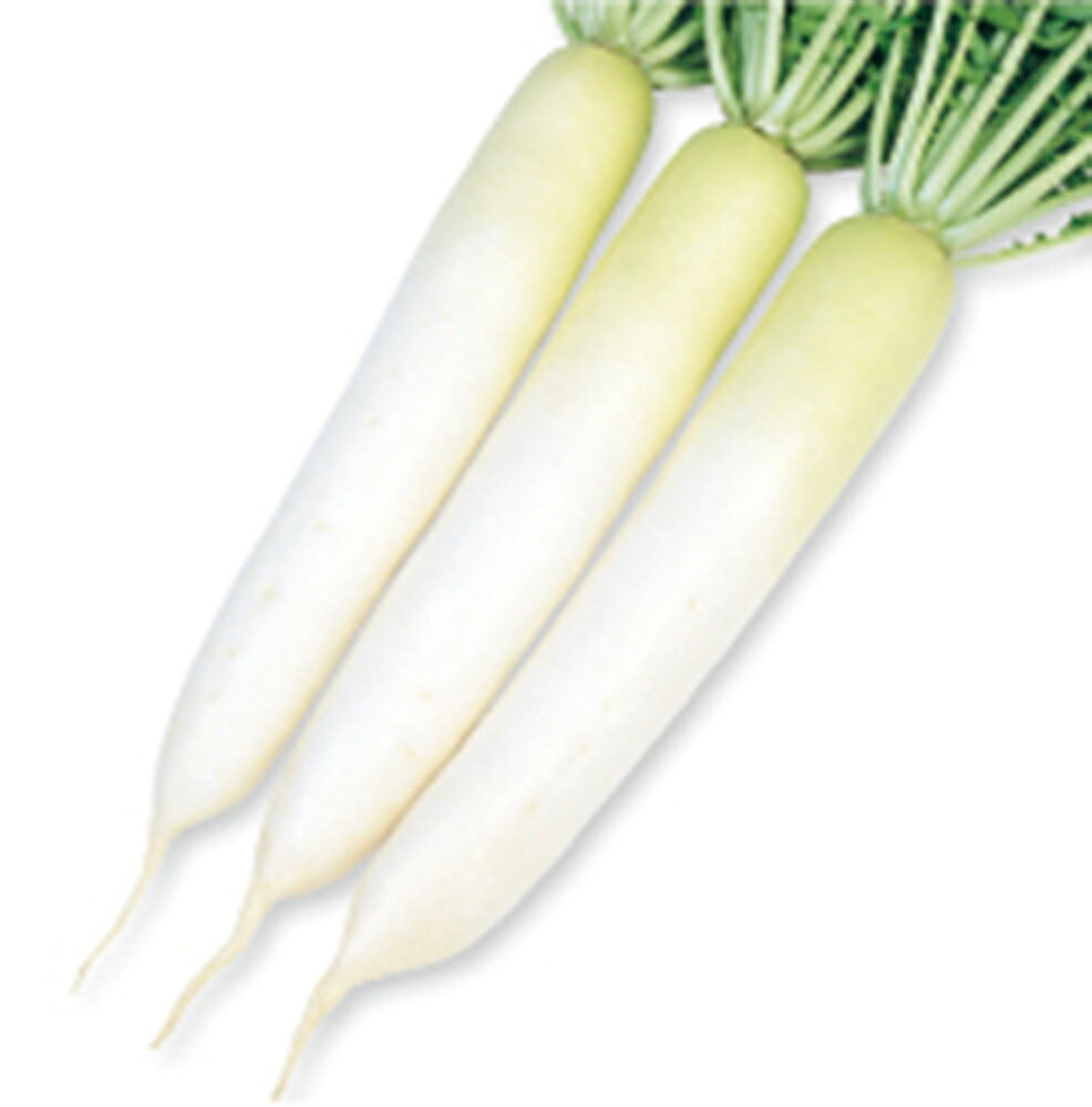 ��� �ե���ॳ����2dl �纬 �������� �������� ������� ��������� �� ���� ���� �ۡ��̾�5�� 5�ΤĤ����ϥݥ����10���оݳ����ʥݥ����3�ܸ��꾦...