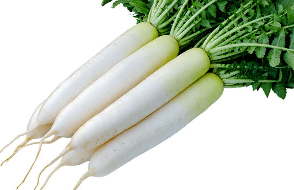 �դΤ���١�UD-601�� 3L������5��γ �纬 �������� �������� ���������� ���Ϳ��� �ڲ��Ϳ��� �� ���� ���� �ۡ��̾�5�� 5�ΤĤ����ϥݥ����10...