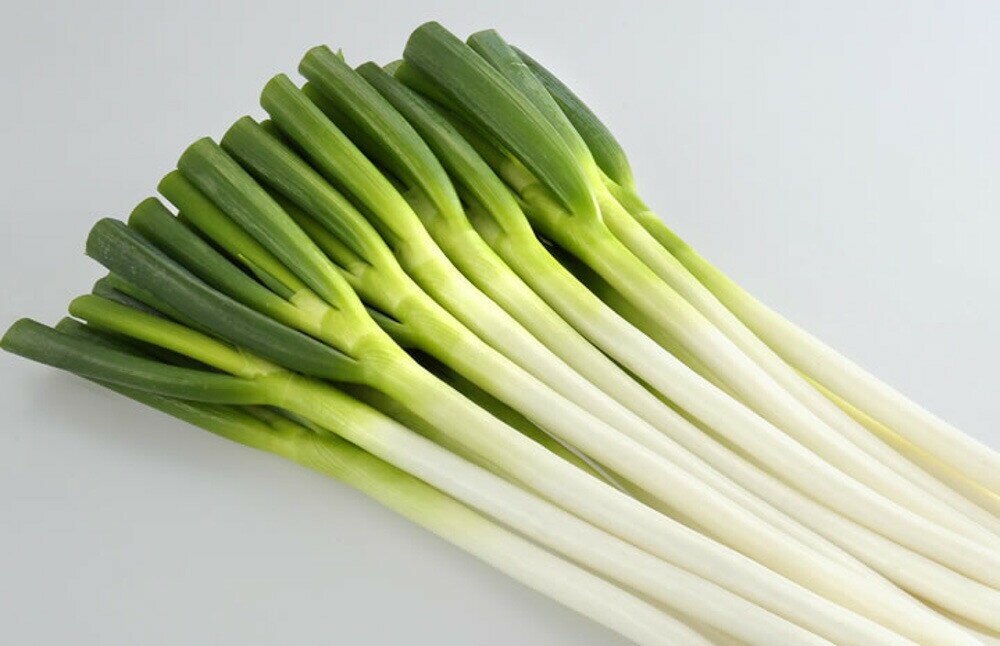 ζ�Ҥ���1�� 2L������6��γ Ǭ �ͥ� �ͤ� ���������� ���Ϳ��� �ڲ��Ϳ��� �� ���� ���� �ۡ��̾�5�� 5�ΤĤ����ϥݥ����10�ܡ�