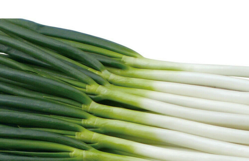 ζ�� 2L������6��γ Ǭ �ͥ� �ͤ� ���������� ���Ϳ��� �ڲ��Ϳ��� �� ���� ���� �ۡ��̾�5�� 5�ΤĤ����ϥݥ����10�ܡ�