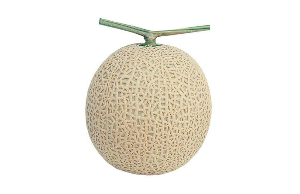 雅秋冬系 100粒 めろん メロン 舐瓜 ウエキ交配 横浜植木 【横浜植木 種 たね タネ 】【通常5倍 5のつく日はポイント10倍】