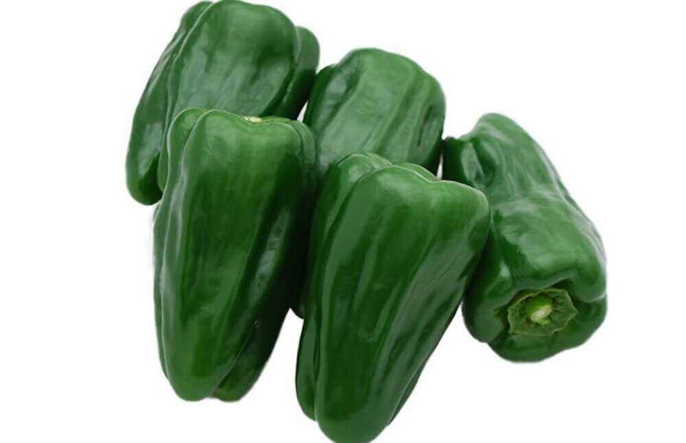 グッピー（UN-607） 1000粒 ピーマン ぴーまん ウエキ交配 横浜植木 【横浜植木 種...