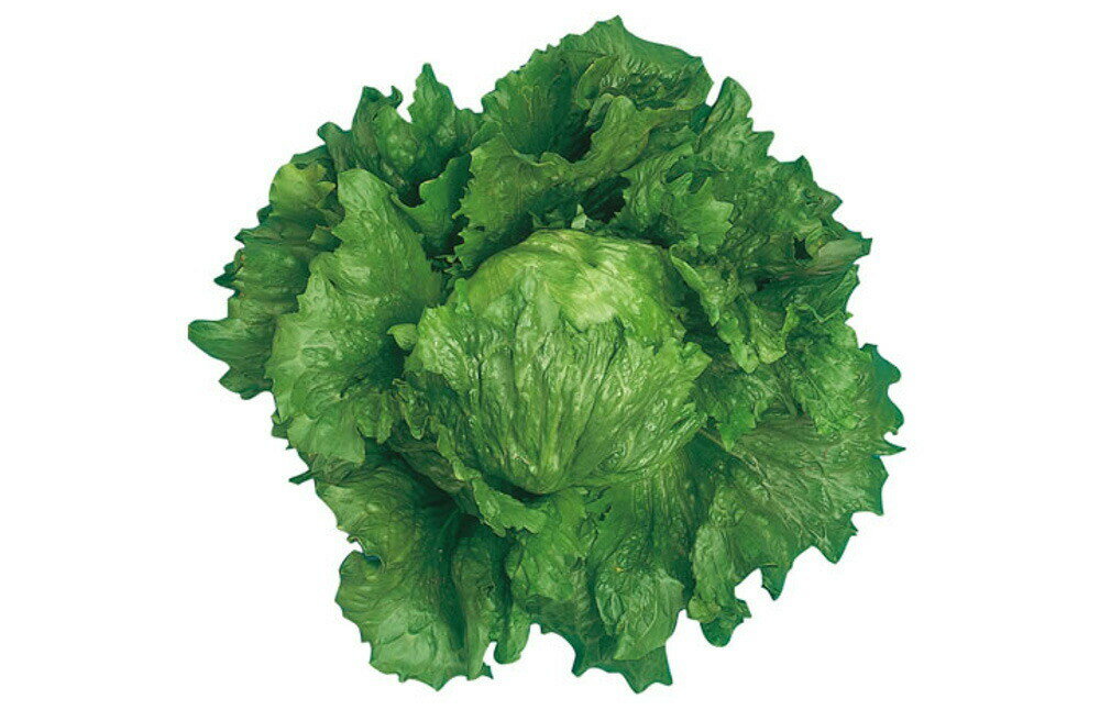 ������ L������5��γ �쥿�� ���������� ���Ϳ��� �ڲ��Ϳ��� �� ���� ���� �ۡ��̾�5�� 5�ΤĤ����ϥݥ����10�ܡ�