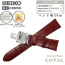 20mm セイコー バンド Dバックル 牛革 ワニタケフ カーフ ブラウン メンズ SEIKO 時計 ベルト 茶 クロス お手入れマニュアル付