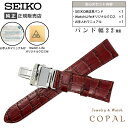 22mm セイコー バンド Dバックル 牛革 ワニタケフ カーフ ブラウン メンズ SEIKO 時計 ベルト 茶 クロス お手入れマニュアル付