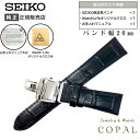 20mm セイコー バンド Dバックル 牛革 ワニタケフ カーフ ブラック メンズ SEIKO 時計 ベルト 黒 クロス お手入れマニュアル付