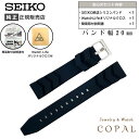 【最大2000円OFFクーポン配布】 20mm セイコー バンド シリコン 黒 ブラック ベルト SEIKO 時計 クロス 簡易取付説明書付