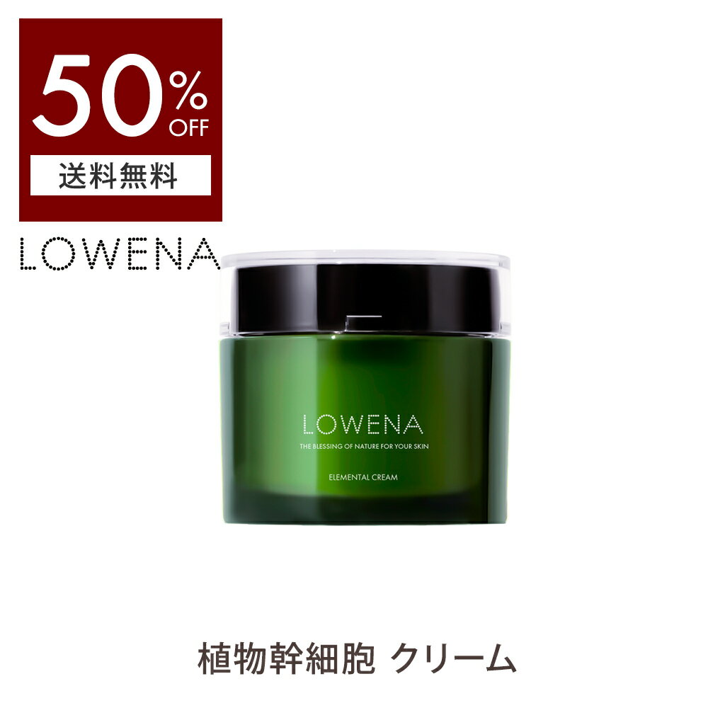 【 50%OFF 】【送料無料（沖縄・離島