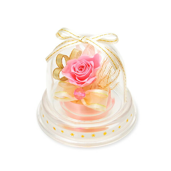プチ1月 プリザーブドフラワー メッセージカード無料印刷 ピンク色 ミニドーム 魔法のお花 薔薇 枯れない かわいい おしゃれ お祝い 誕生日 お花ソムリエ フラワー プレゼント