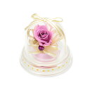 プチギフト 2月 プリザーブドフラワー メッセージカード ミニドーム 魔法のお花 薔薇 枯れない かわいい おしゃれ お祝い 誕生日 お花ソムリエ フラワー プレゼント(4)