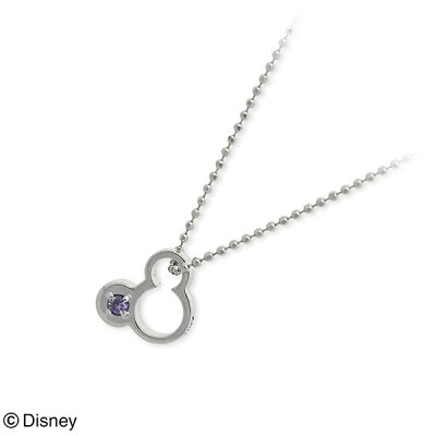 Disney Disney ホワイトゴールド ネックレス 誕生石 選べる 20代 30代 彼女 レディース 女性 誕生日プレゼント 記念日 ギフトラッピング ディズニー Disneyzone 送料無料