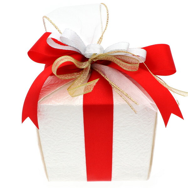 スペシャルラッピング ホワイトデー 彼女 彼氏 レディース メンズ ユニセックス 冬 誕生日 記念日 ギフトラッピングスペシャルラッピング プレゼント