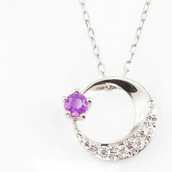 アメジスト ネックレス ムーン 月 モチーフ moon 2月誕生石 プラチナ Pt900 ペンダント カラーストーン 誕生日 ネックレス レディース チェーン シンプル プレゼント 受注製作 クリスマス(4)