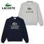 ֡20OFF LACOSTE 饳 3Dץ å ȥåץ 롼ͥå å ȥ졼ʡ  ֥ Ĺµ ˥ ѥ ͥӡ 졼  åȥ ѥ  SH1228-99 ץ쥼 եȡפ򸫤