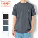 【10%OFF】 BIG MIKE ビッグマイク サングラスポケット Tシャツ 半袖 102528500 メンズ 2025 春夏 新作 ビッグマイク 定番 カットソー クルーネック 無地 薄手 トップス ショート アメカジ 父の日