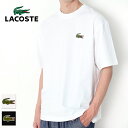 LACOSTE ラコステ シェニールワニロゴルーズフィットTシャツ TH2745 半袖 Tシャツ デカロゴ ワニロゴ ゆったり 白/黒 ホワイト ブラック S/...