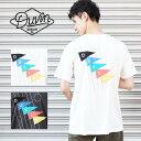 DUVIN DESIGN CO. バックプリント 半袖 Tシャツ DMT10011 メンズ フラミンゴ コットン プリントt ブランド サーフ イラスト おしゃ...