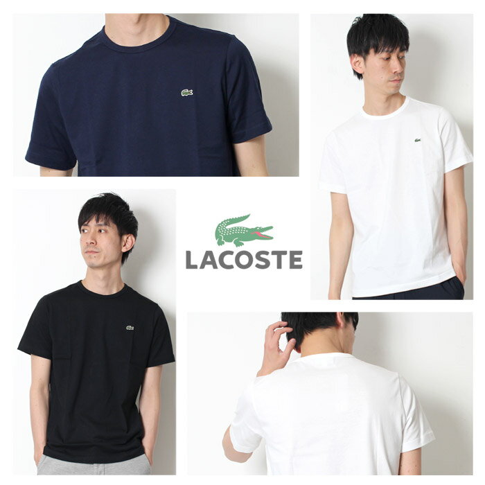 LACOSTE ラコステ ベーシック クルーネック 半袖 Tシャツ 上品 ブランドロゴ 上質ピマコットン 丸首 [Lot/TH622EL-TH622EM-TH5845L] 春夏 人気 ラコステポロ ゴルフ おしゃれ 大人カジュアル 白黒 グレー ネイビー ピンク ブルー プレゼント