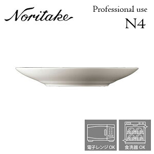 Υ꥿ N4 22cmǥץץ졼 ̳ ץ桼 Noritake 򤤿 2Ĥ̵ 1628T/05514T