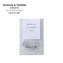 OCEAN＆TERRE オーシャン