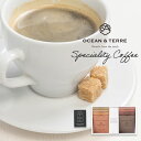 オーシャンテール Speciality Coffee セット B 〈A508〉 ドリップコーヒー 8個 母の日