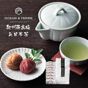 楽天ランキング受賞! オーシャンテール Premium 紀州南高梅 & 日本茶 セット F 〈A525〉 ティーバッグ 梅干し