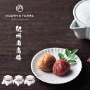 オーシャンテール Premium 紀州南高梅 セット D 〈A582〉 梅干し