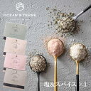 塩&スパイス 1個 OTVL8 オーシャンテール OCEAN&TEREE 〈A411〉 プチギフト プレゼント おみやげ 粗品 販促品 プチプラ 個包装 ギフト のし ラッピング対応外