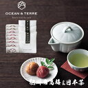 Premium 紀州南高梅&日本茶セットF OTVL8 オーシャンテール OCEAN&TEREE 〈A525〉 出産内祝い 結婚内祝い 新築内祝い 快気祝い お返し 粗品 記念品 香典返し 法事 法要 お礼 引き出物