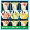 ダンケ 凍らせて食べるアイスデザート 9号 9個入り<IDB-20> (プレゼント/ギフト/GIFT)のし 包装 ラッピング メッセージカード 無料