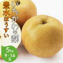 いちかわの梨 梨 豊水 ほうすい 5kg 9〜14玉 千葉県産 市川 なし 旬 果物 果実 フルーツ グルメ ギフト プレゼント 贈答品 贈答用 お盆 暑中見舞...