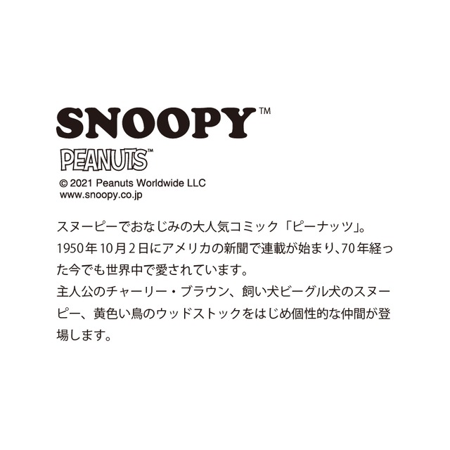 マグ (青磁) (単品) SNOOPY スヌーピー レリーフマグ 〈SN902-11〉 山加商店 食器 マグカップ