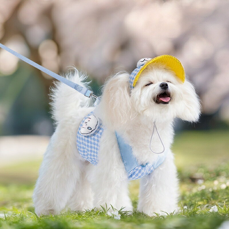 犬 ハーネス リードセット 胴輪 小型犬 犬用ハーネス チェックデザイン 帽子付き ...