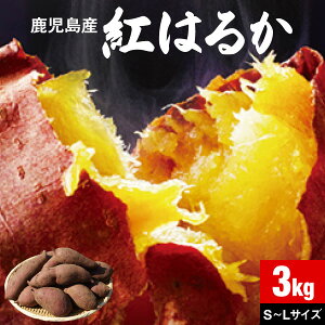 さつまいも 紅はるか 鹿児島 生芋 3kg 1箱 送料無料 S〜L混載 土付き 美味しい 鹿児島県 大隅産 美容 ギフト べにはるか サツマイモ 焼き芋に