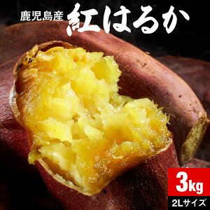 【P2倍】 さつまいも 紅はるか 産地 直送 お取り寄せ 鹿児島 生芋 2L 3kg 1箱 買い 送料無料 美味しい さつま芋 販売 焼き芋 に 甘い 大きい 生いも 土付き 鹿児島県 大隅産 特産品 ギフト 生 サツマイモ