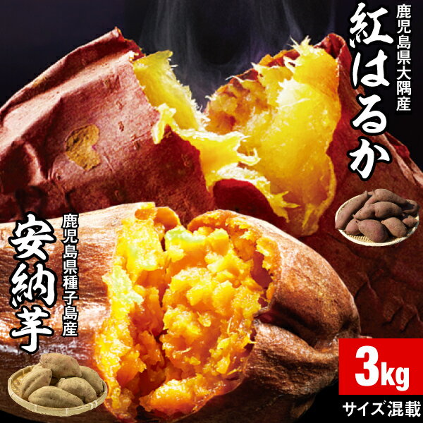 安納芋 紅はるか 食べ比べ さつまいも 鹿児島 各1.5kg 合計 3kg 1箱 送料無料 サイズ混載 美味しい 種子島産 安納いも 大隅産 べにはるか サツマイモ 焼き芋に ミックス