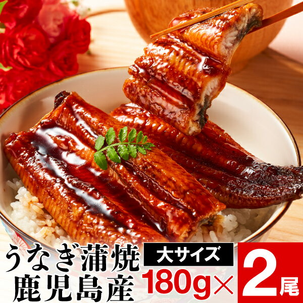 蒲焼き 【ポイント2倍 最短当日出荷】 うなぎ 国産 鰻 蒲焼き 父の日 ギフト 大サイズ 180g 2尾 鹿児島 ウナギ 送料無料 プレゼント 取り寄せ うなぎ蒲焼き 冷凍 土用の丑の日 おいしい 高級 国産うなぎ 蒲焼