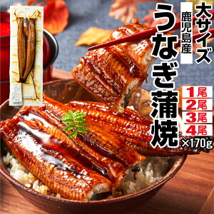 ʤ ڥݥ2 ûв١   170g 1/2/3/4 Ƥ   ե 祵  ʥ ̵ ץ쥼  ʤƤ  unagi 񻺤ʤ  Ѥα