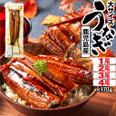 蒲焼き うなぎ 【ポイント2倍 最短当日出荷】 国産 鰻 170g 1尾/2尾/3尾/4尾 蒲焼き 母の日 父の日 ギフト 大サイズ 鹿児島 ウナギ 送料無料 プレゼント 取り寄せ うなぎ蒲焼き 冷凍 unagi 国産うなぎ 蒲焼 土用の丑の日