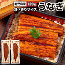 【ポイント2倍】 うなぎ 国産 お中元 ギフト 鰻 2尾/4尾/5尾 鹿児島 大隅産 120g ウナギ 蒲焼き 御中元 送料無料 誕生日 プレゼント うなぎ蒲焼...