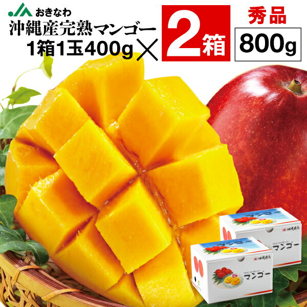 ֥ޥ󥴡   ե 800g 1Ȣ1400g2Ȣ JAʤ ϥޥ󥴡 åץޥ󥴡 ̵ mango  ե롼 ʪ ľ ץ쥼 £ʪ 渵 渵   7/10ʹ߽缡в١פ򸫤