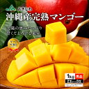 【ポイント2倍】 マンゴー 沖縄 秀品 ギフト 1kg JAおきなわ 完熟マンゴー アップルマンゴー 送料無料 mango 旬の果物 完熟 フルーツ 果物 産地直送 プレゼント 贈り物 お中元 御中元 国産 お取り寄せ 7/8以降順次出荷